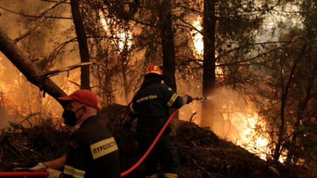 С активна международна помощ Гърция продължава гасенето на пожарите С