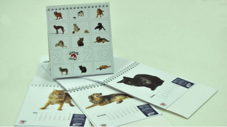 Календар на организацията за защита на животните 