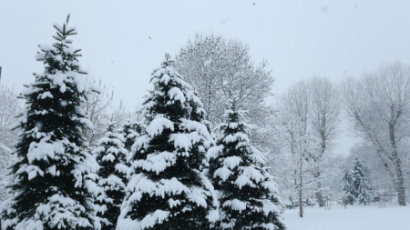 Сняг валя днес в областите Видин Монтана Враца София Перник