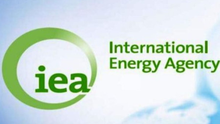 Международна агенция по енергетика (МАЕ)