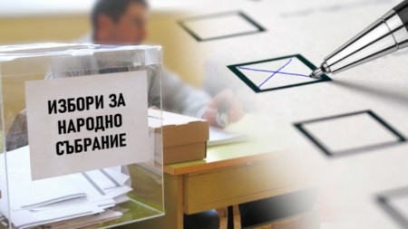 Журналистката Здравка Андонова от Дневник е гласувала с подвижна избирателна кутия  