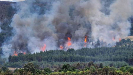 Пожарът край Елшица и Левски обхвана 3 хил. декара държавни горски територии, 9 август 2022 г.