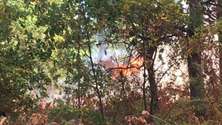 Втори пожар възникна в Рила планина казаха от Югозападното държавно