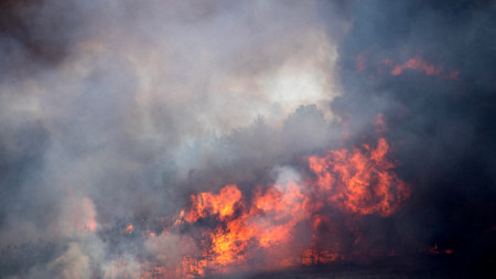 Горски пожар до село Кокошиняц, близо до Свети Николе, Северна Македония, 30 юли 2024 г.