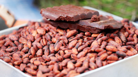 Редовната консумация на какао е полезна за сърцето свойствата на