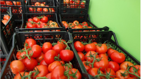Рязък спад в производството на зеленчуци отчита земеделското министерство Добивите