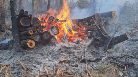 Пожарът в Рила засегна и добит дървен материал в гората над с. Ресилово
