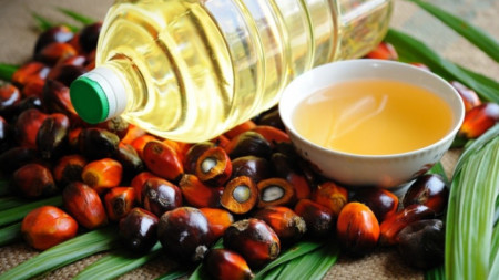 Палмово масло (олио)