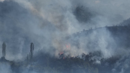 Пожарът в Малешевска планина, западно от река Струма, е възникнал към 12:30 часа между селата Микрево и Каменица. Димът се вижда от Благоевград. 