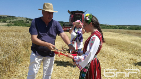 Николай Киров, председател на Съюза на зърнопроизводителите - Бургас