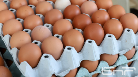 Увеличени продажби на българските яйца заради изтеглянето на полските отчитат