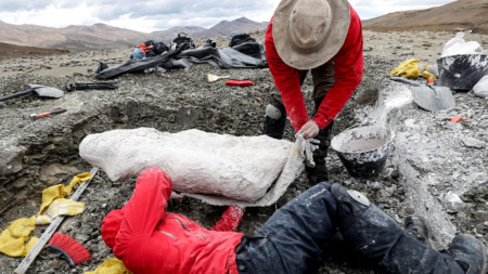 Работата на палеонтолозите на терен е сериозно предизвикателство - Патагония, Чили, април 2020 г. 