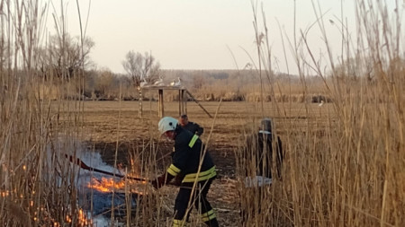 Пожари достигнаха до колонията от пеликани в Защитената местност Калимок Бръшлен  За