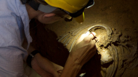 Палеонтолог разкрива останки от скелет в пещерата Шанидар, която се намира на 125 километра северно от Ербил в Иракски Кюрдистан