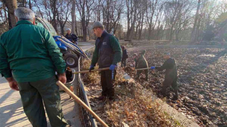 Тази седмица работници на ОП Паркове и градини  почистват Езерото с