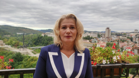 Председателката на КЗД Елка Божова