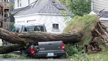 Паднало дърво след преминаването на бурята през Нова Скотия, 24 септември 2022 г.