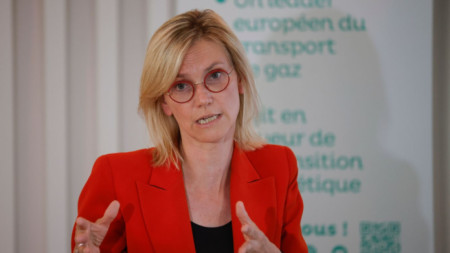Агнес Пание-Рунаше , френски енергиен министър