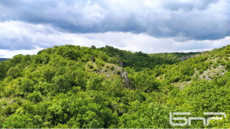 Гледка от горите на Странджа край село Младежко