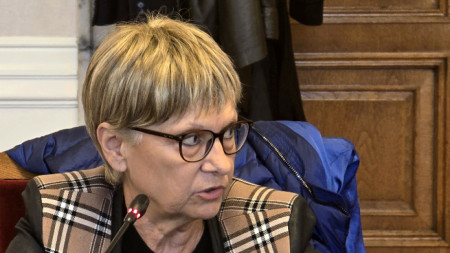 Народният представител от МЕЧ Виолета Комитова