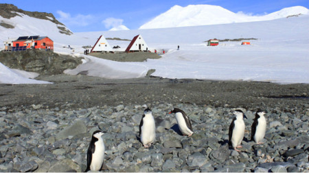 Photo: Bulgarian Antarctic Institute