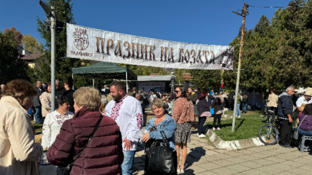 Празник на бозата в Радомир през 2024 г.