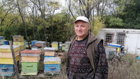 От дълги години пчеларството в България е изправено пред редица