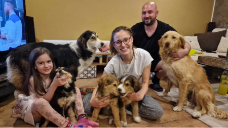 Семейството на Валя Стоянова с осиновени и временно приютени кученца.
