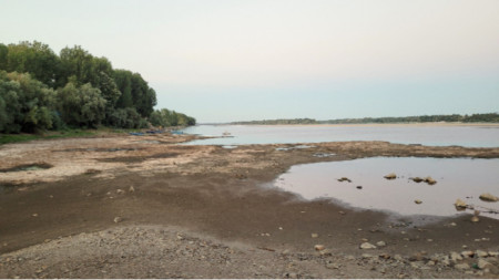 Ниското ниво на река Дунав спъва корабоплаването