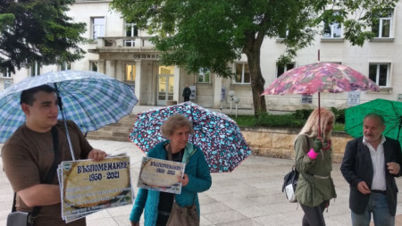 Пред общината във Враца беше организиран протест срещу изсичането и