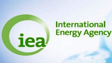 Международна агенция по енергетика (МАЕ)