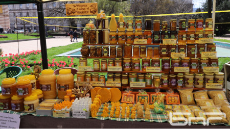 Значително по ниски количества пчелен мед са произведени в Ямболска област