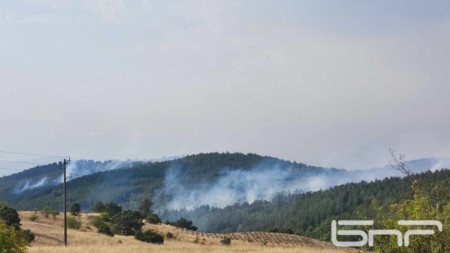 Над 4 000 декара, основно гора, са изгорели