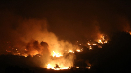 Пожарът край Александруполис
