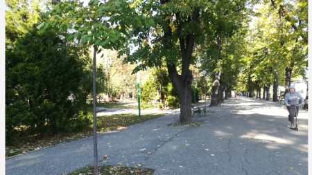Крайдунавският парк 