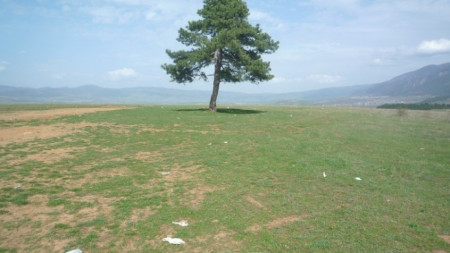 Приключва изграждането на новия парк Дренски рид над Дупница казаха
