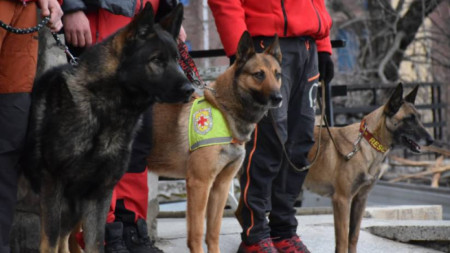 Среща с планински спасители и техните кучета в Международния ден на доброволеца 