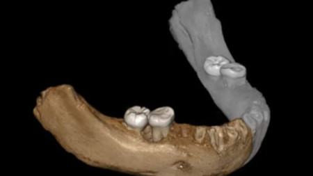Част от долна челюст е открита в тибетска пещера през 1980 г.