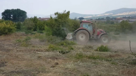 Земеделски производители от крайграничната община Болярово настояват да бъде променен срокът за почистването на