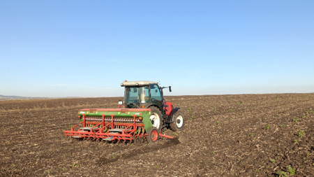 СНИМКА: сеитба на есенни култури