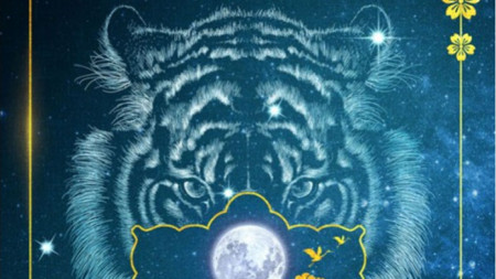 Вторият роман на Янгси Чу Нощният тигър стана бестселър на