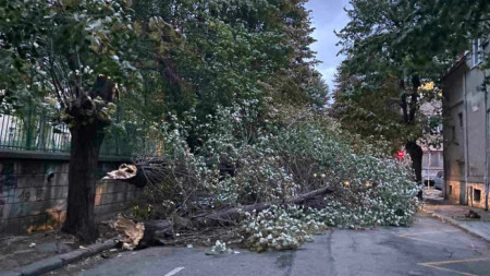 В района на Националното училище по изкуствата 