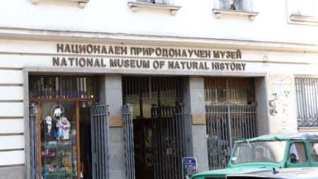 Muzeu i Shkencave Natyrore