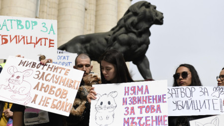 На 23.03.2025 г. в София отново имаше протест във връзка с насилието над животни.