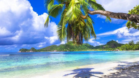 Сейшелските острови ли ще са следващата дестинация свободна от Covid 19