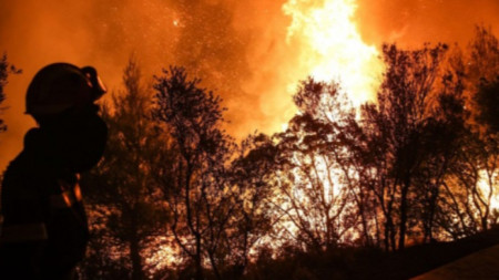 Сложна остава обстановката на пожара над Югово община Лъки  През нощта