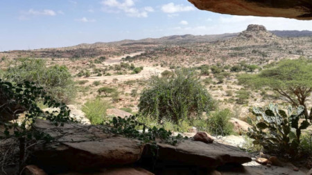 Типичен прашен и тъжен сомалийки пейзаж
