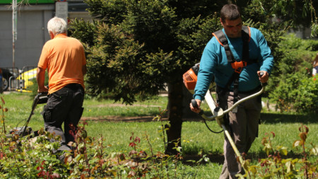 Озеленители, които работят по поддръжката на парк в София - май 2020 г.