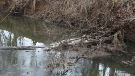 Снимката е илюстративна.