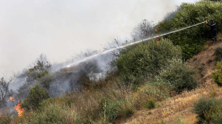 Пожарникар опитва да потуши пожар край село Збербер, провинция Буира в планинския регион Кабиле, Алжир, 24 юли 2023 г
